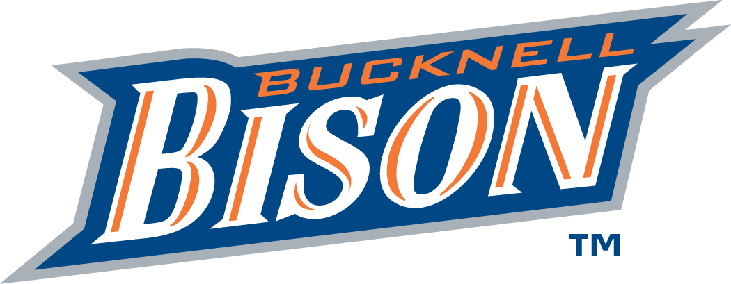 Bucknell Bison 2002-Pres Wordmark Logo iron on transfers for T-shirts